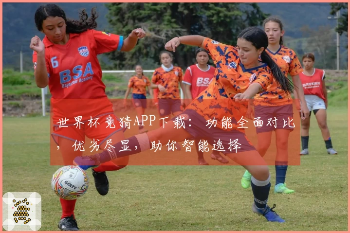 世界杯竞猜APP下载：功能全面对比，优劣尽显，助你智能选择