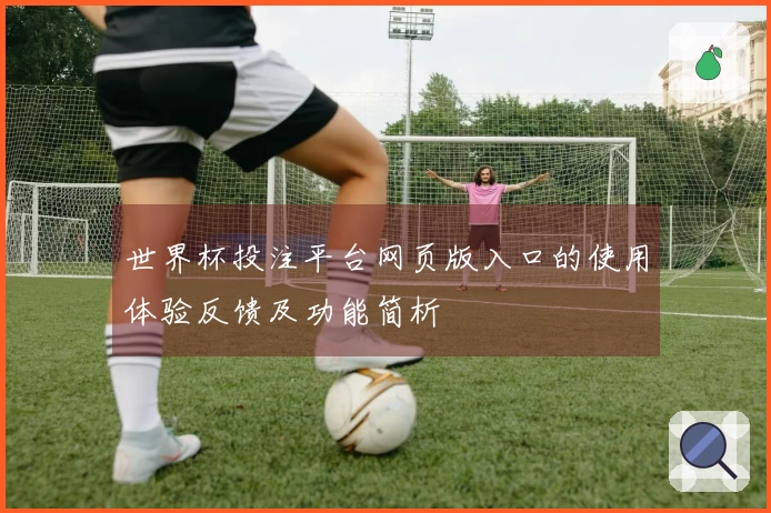 世界杯投注平台网页版入口的使用体验反馈及功能简析