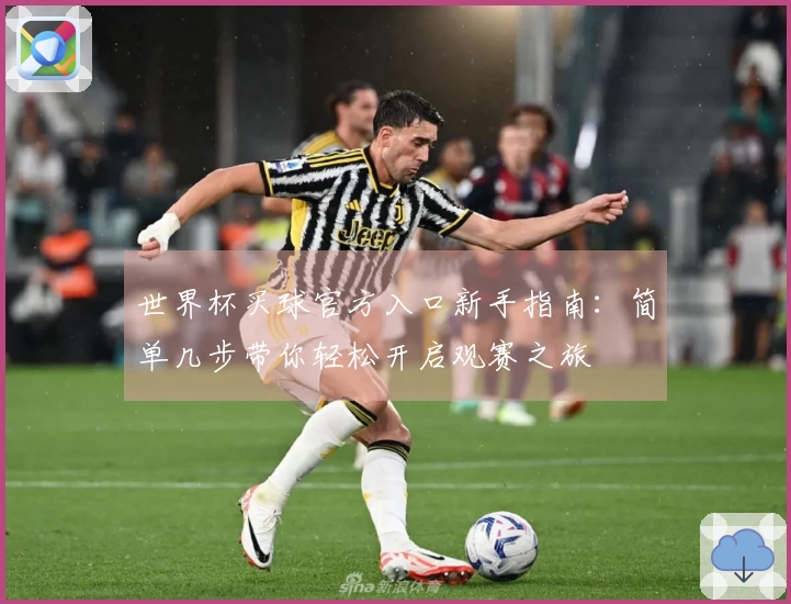 世界杯买球官方入口新手指南：简单几步带你轻松开启观赛之旅
