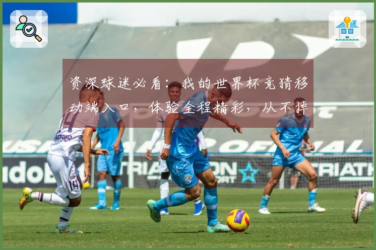 资深球迷必看：我的世界杯竞猜移动端入口，体验全程精彩，从不掉线