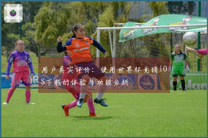 用户真实评价：使用世界杯竞猜iOS下载的体验与功能分析