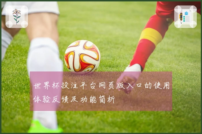 世界杯投注平台网页版入口的使用体验反馈及功能简析